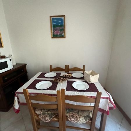 Apartament Bellissima Stanza Con Parcheggio Gratuito Cinquale Zewnętrze zdjęcie